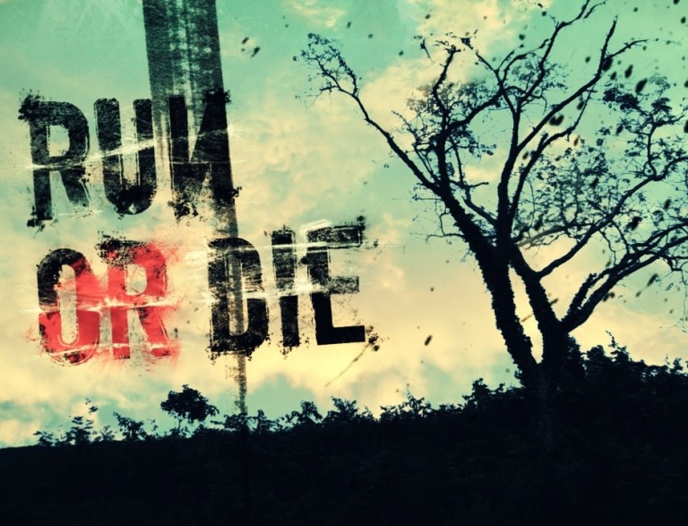 intro Run or Die